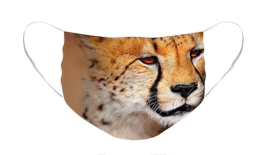#faatoppicks Face Mask featuring the photograph Cheetah portrait by Johan Swanepoel