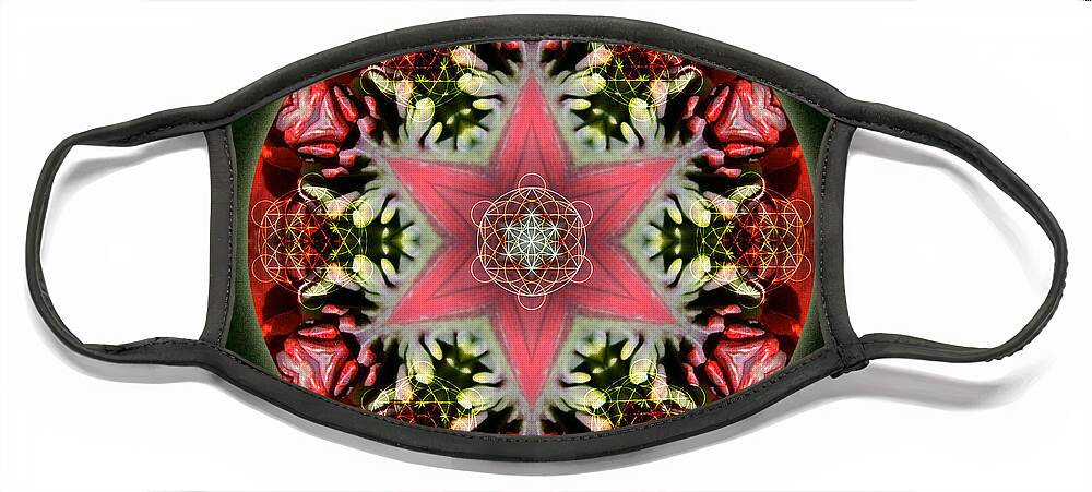 Mandala Face Mask featuring the mixed media Christmas Star by Alicia Kent
