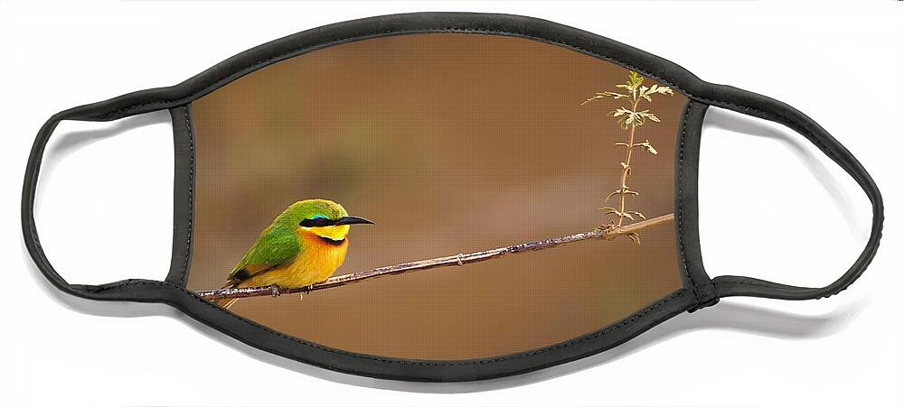 3scape Photos Face Mask featuring the photograph Cinnamon-chested Bee-eater by Adam Romanowicz