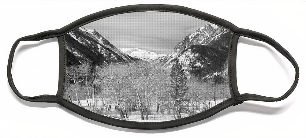 Trees Face Mask featuring the photograph Colorado Rocky Mountain Winter Horseshoe Park BW by James BO Insogna