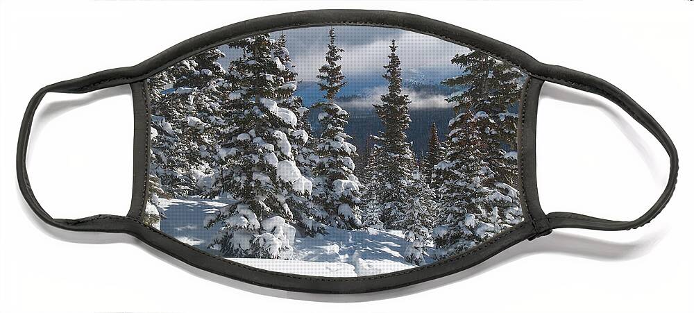 Clouds Face Mask featuring the photograph Colorado Winter Morning Forest with Rising Clouds by Cascade Colors