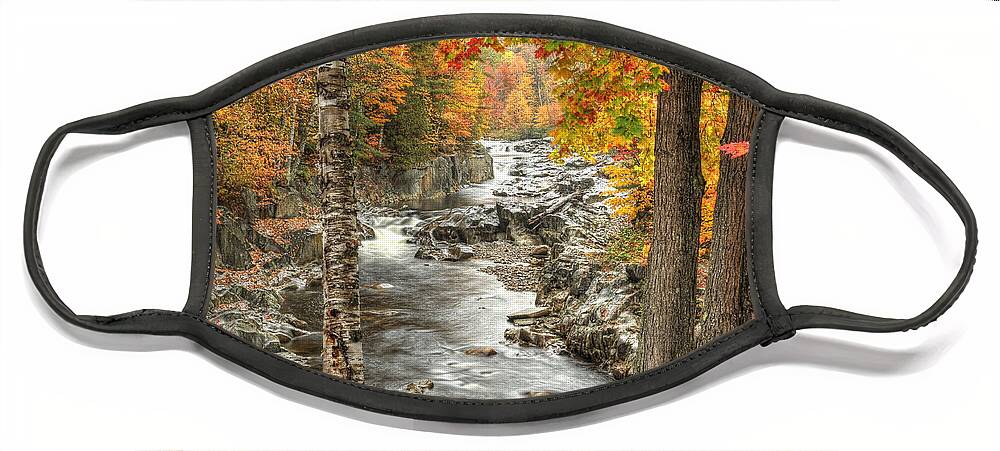 Photograph Face Mask featuring the photograph Colorful Creek by Richard Gehlbach