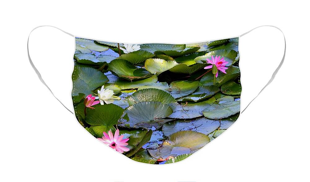 Water Lilies Face Mask featuring the photograph Colorful Water Lily Pond by Carol Groenen
