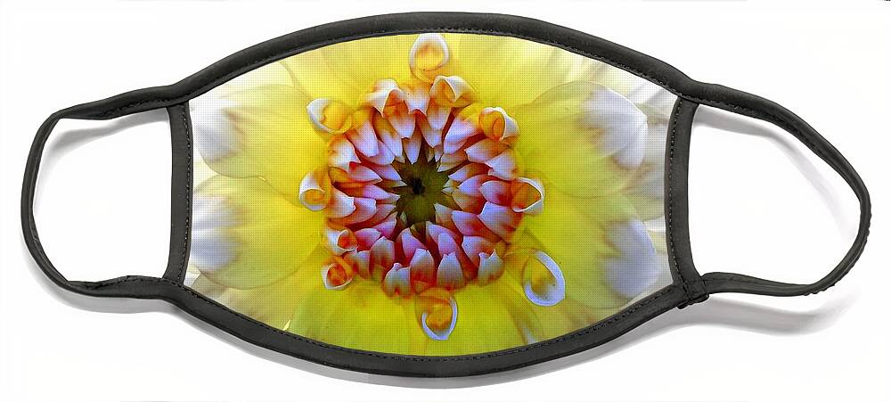 Flowers Face Mask featuring the photograph Colorwheel by Karen Wiles