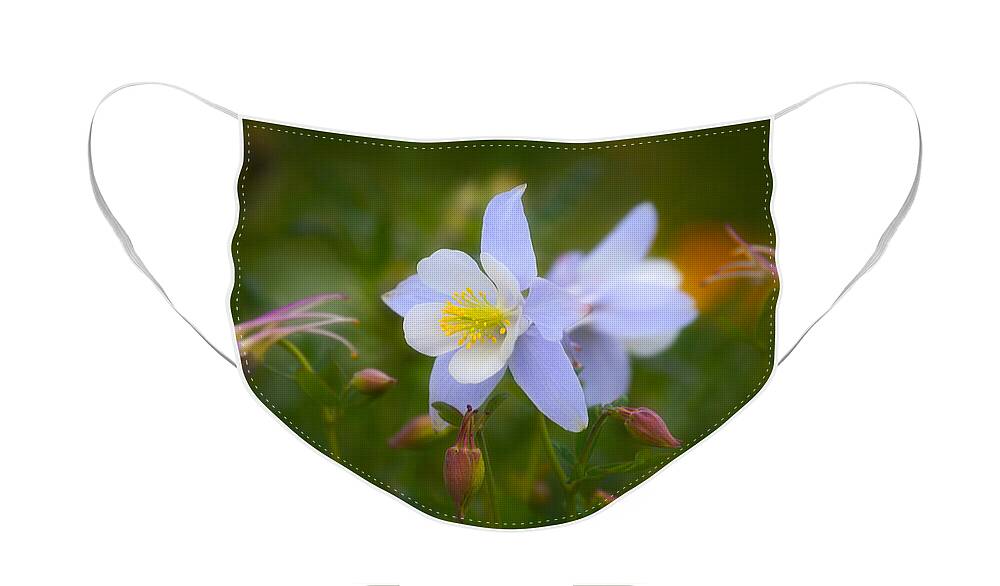 Columbine Face Mask featuring the photograph Columbine by Darren White