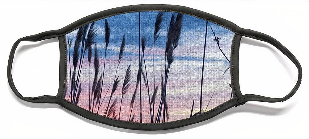 Sunset Face Mask featuring the photograph Connecticut Sunset with Reeds and Swirls by Marianne Campolongo