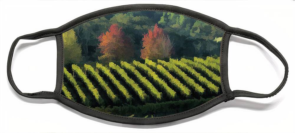 Landscape Face Mask featuring the photograph Coombsville Vineyard by Ann Nunziata