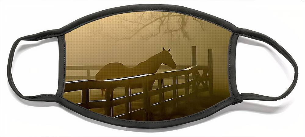 Horse Face Mask featuring the photograph Coosaw Early Morning Mist by Scott Hansen