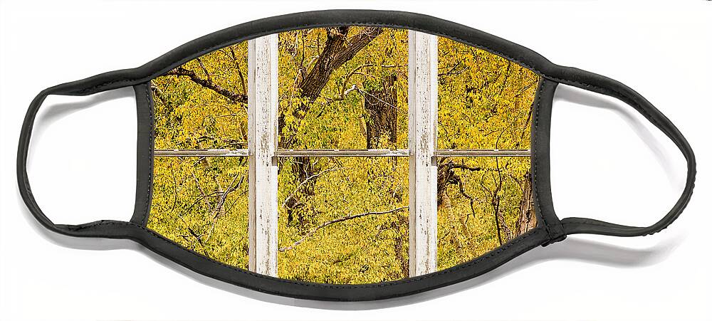 Window Face Mask featuring the photograph Cottonwood Fall Foliage Colors Rustic Farm Window View by James BO Insogna