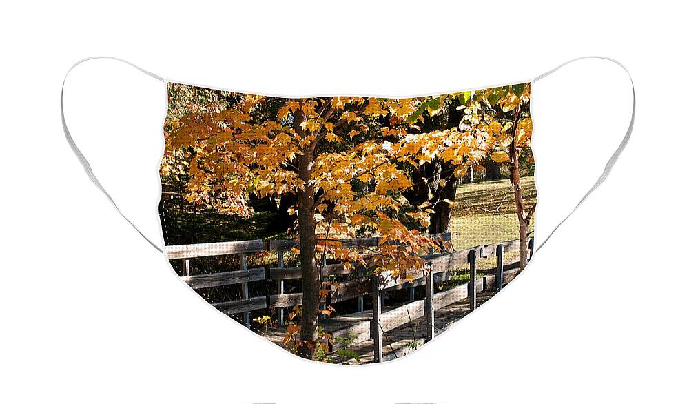 Fall Colors Face Mask featuring the photograph Country Bridge by Gwen Gibson