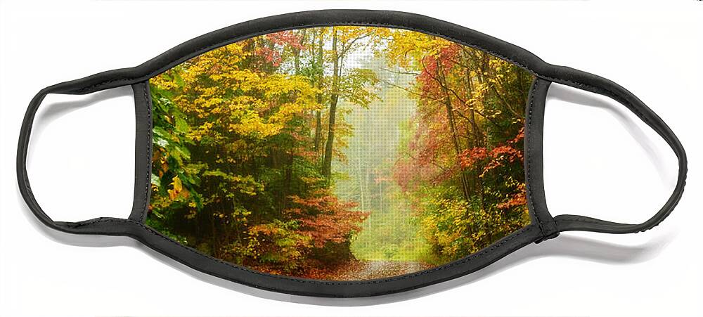 Fall Face Mask featuring the photograph Country Corner by Lisa Lambert-Shank