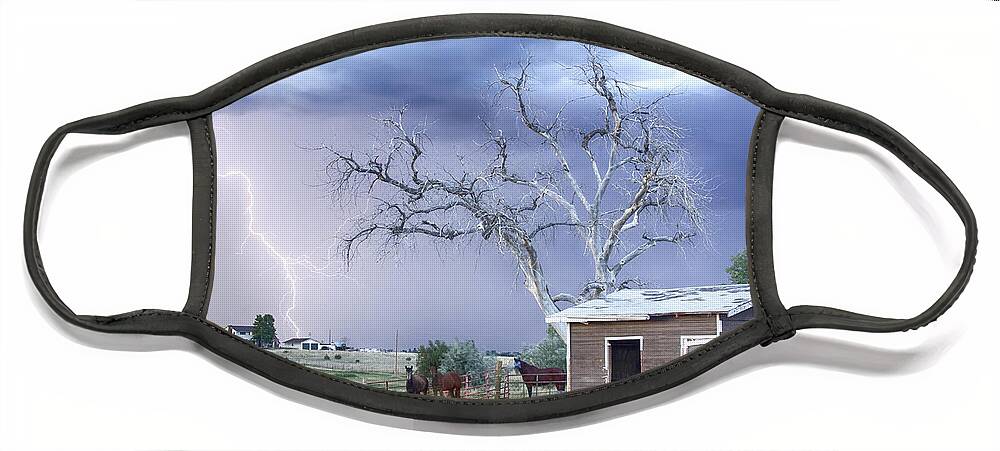 Country Face Mask featuring the photograph Country Horses Lightning Storm CO  by James BO Insogna
