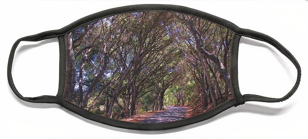 Road Face Mask featuring the photograph Country Lane by Derek Dean