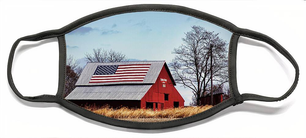 Flag Face Mask featuring the photograph Country Pride by Cricket Hackmann