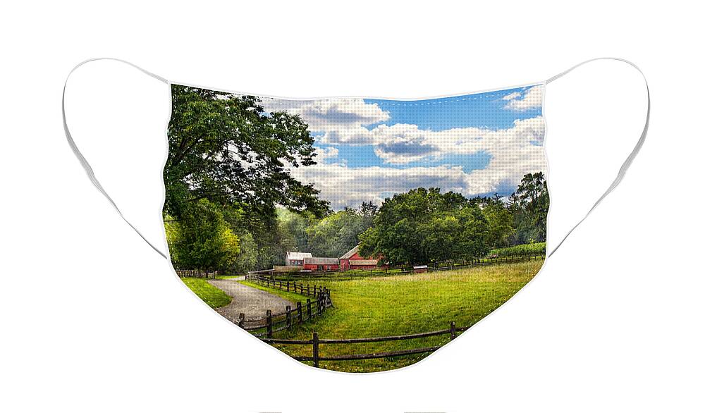 Cow Face Mask featuring the photograph Country - The pasture by Mike Savad