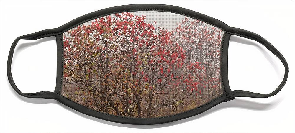 2013 Face Mask featuring the photograph Crimson Fog by Melinda Ledsome