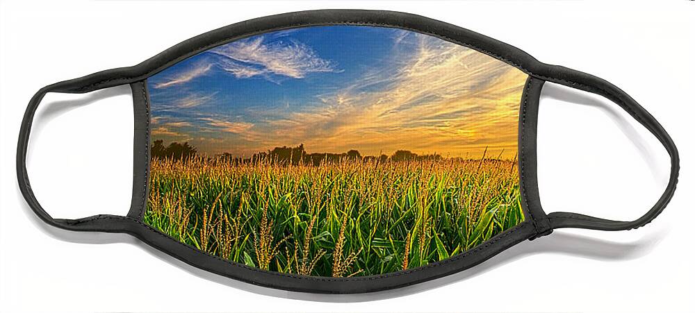 Corn Face Mask featuring the photograph Dancing in the Rows by Phil Koch