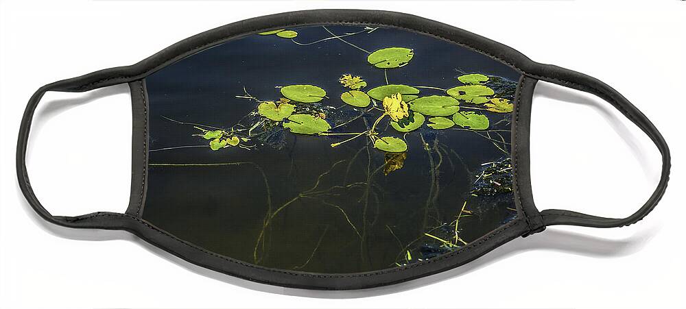 Lilly Pad Face Mask featuring the photograph Deep Roots by Dale Powell