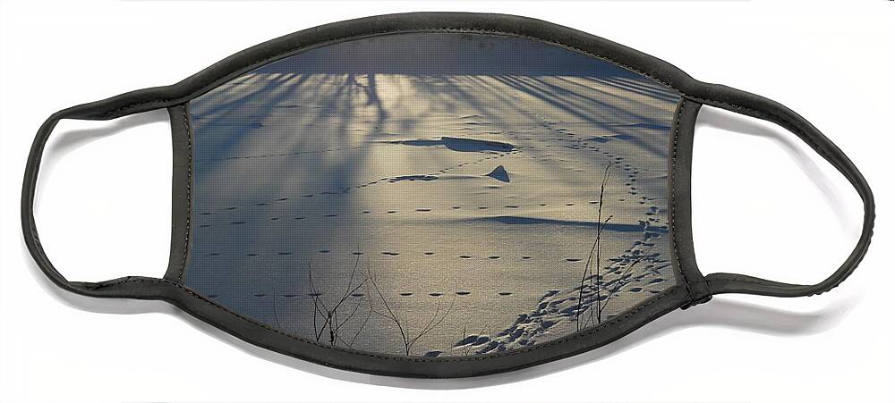 Winter Face Mask featuring the photograph Deer Tracks on the River by Kent Lorentzen