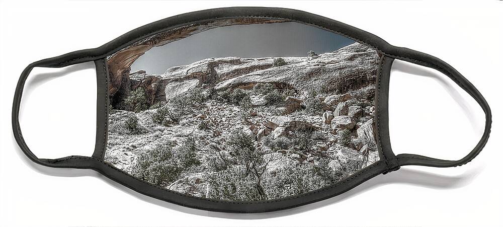 Utah Face Mask featuring the photograph Delicate Stone by Richard Gehlbach