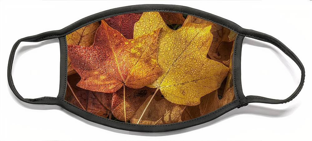 Leaf Face Mask featuring the photograph Dew on Autumn Leaves by Scott Norris