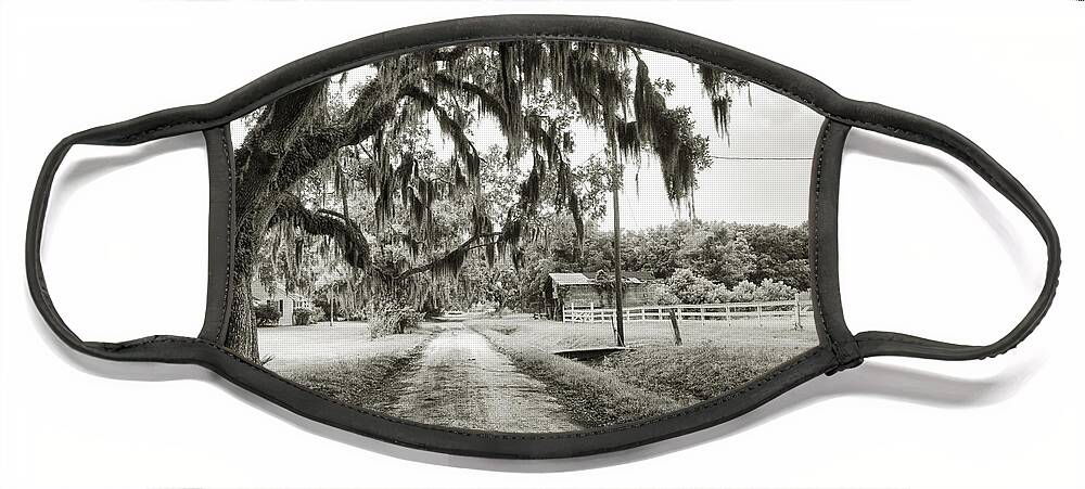 Live Oak Face Mask featuring the photograph Dirt Road on Coosaw Plantation by Scott Hansen