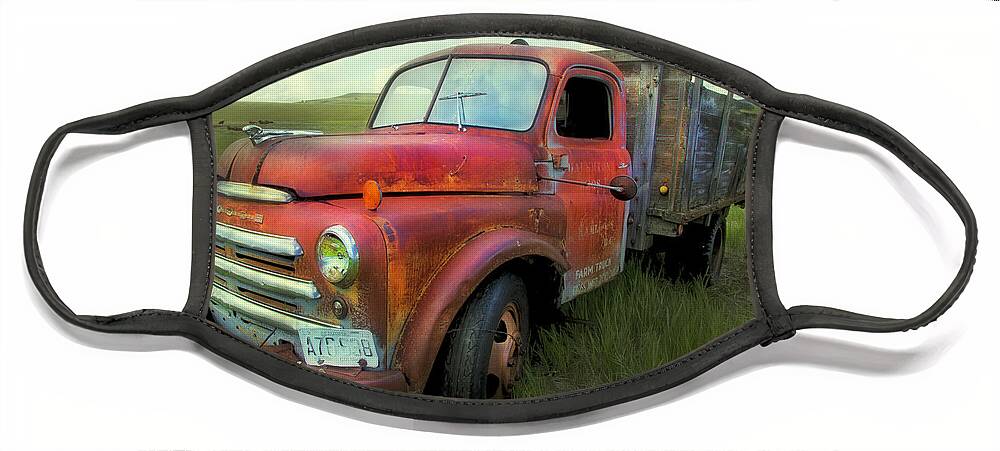 Old Truck Face Mask featuring the photograph Dodge Farm Truck by Theresa Tahara