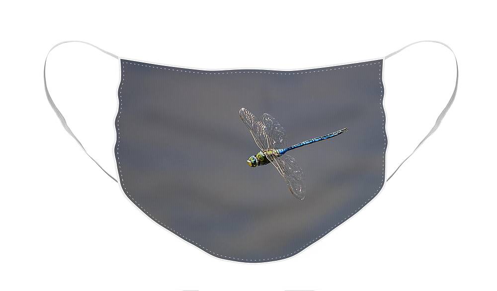 Dragonfly Face Mask featuring the photograph Dragonfly by Paulo Goncalves