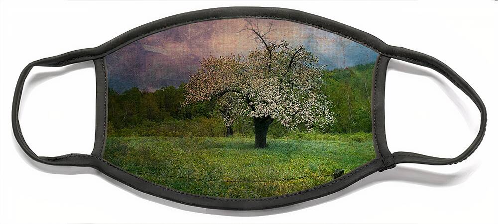 Image By Jeff Folger Face Mask featuring the photograph Dream of Spring by Jeff Folger