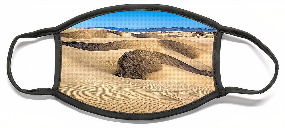 Landscape Face Mask featuring the photograph Dunes And Sand Patterns by Mimi Ditchie