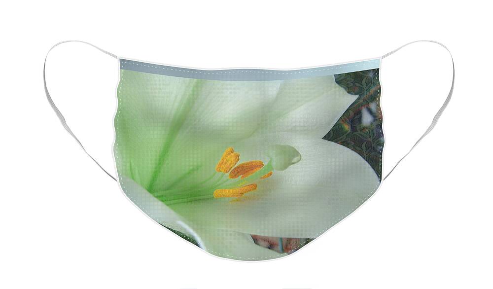 Easter Face Mask featuring the photograph Easter Lily by Kae Cheatham
