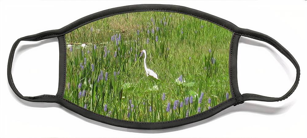 Egret Face Mask featuring the photograph Egret on the Lake by Barbara Von Pagel