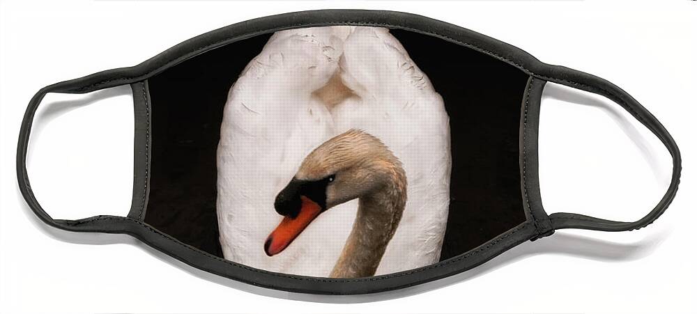 Swan Face Mask featuring the photograph Elegant Swan by Peggy Dietz