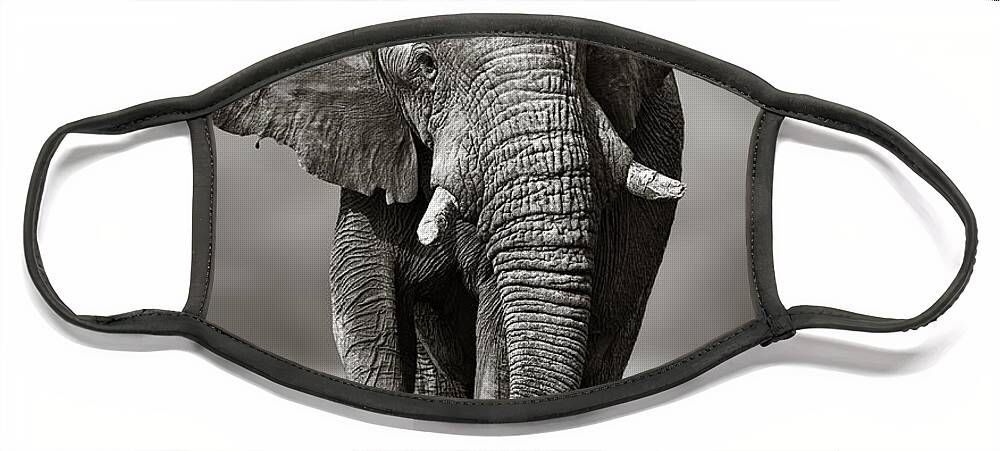 Elephant Face Mask featuring the photograph Elephant approach from the front by Johan Swanepoel