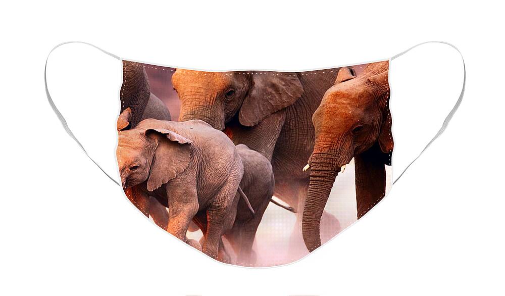 Wild Face Mask featuring the photograph Elephants stampede by Johan Swanepoel