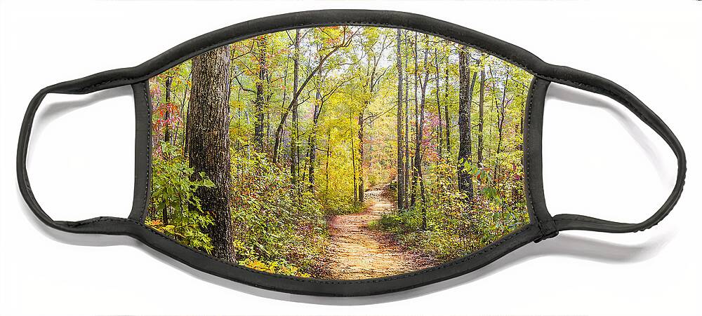 Appalachia Face Mask featuring the photograph Elfin Forest by Debra and Dave Vanderlaan