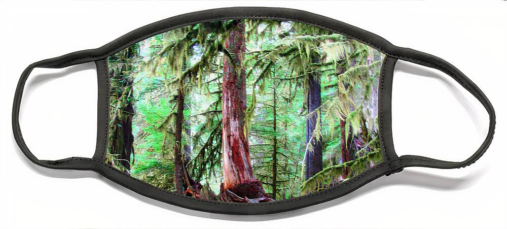 Forest Face Mask featuring the photograph Enchanted Forest 2 by Rory Siegel