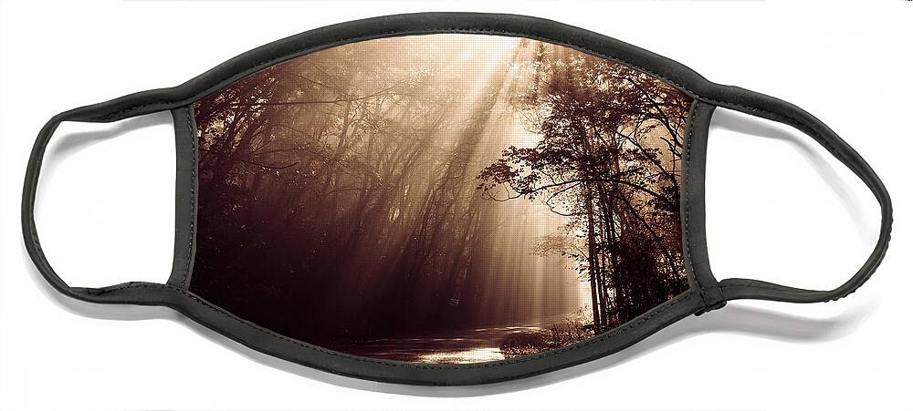 Trees Face Mask featuring the photograph Enchanted Light by Todd Klassy