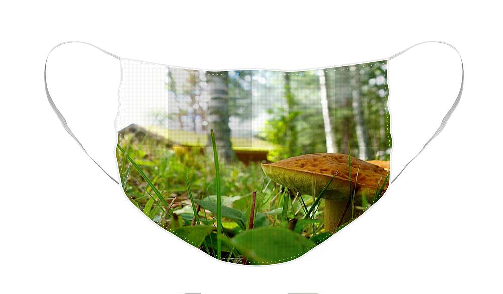 Fungi Face Mask featuring the photograph Fairy Home by Jacqueline Athmann