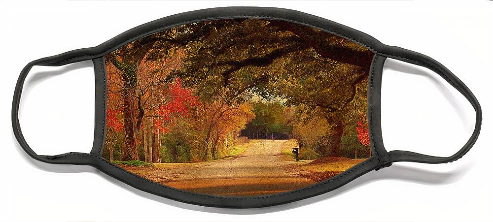 Fall Face Mask featuring the photograph Fall Along A Country Road by Kathy Baccari