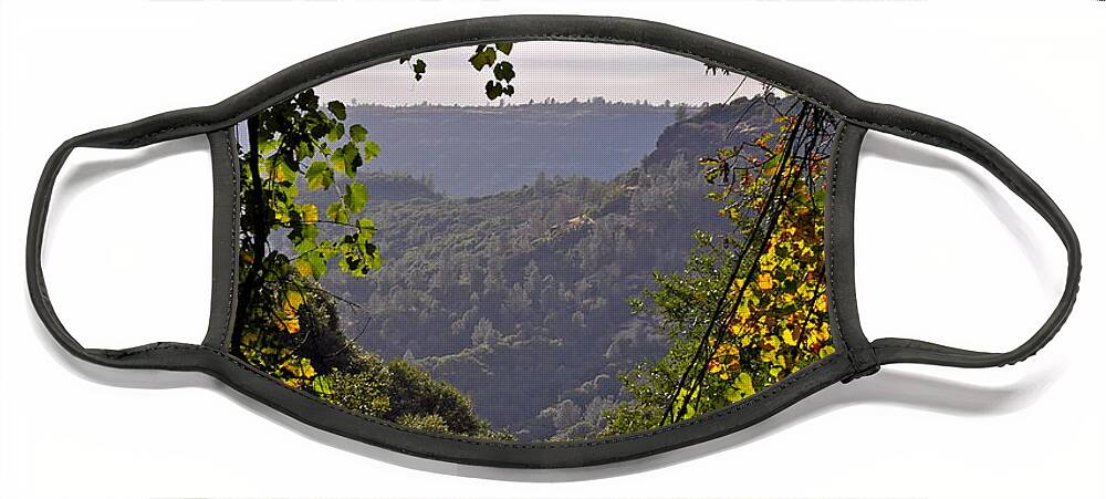 Landscape Face Mask featuring the photograph Fall Frames the Canyon by Michele Myers