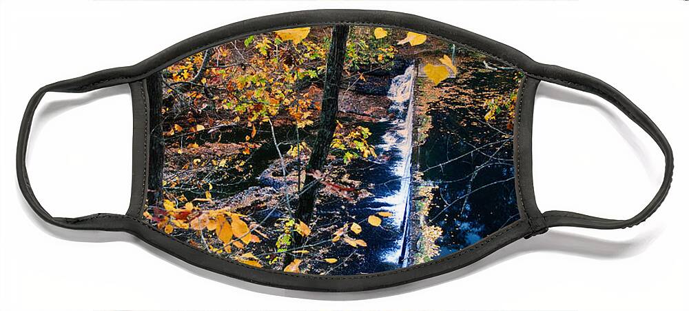 Forest Face Mask featuring the photograph Falls in the fall by George Taylor