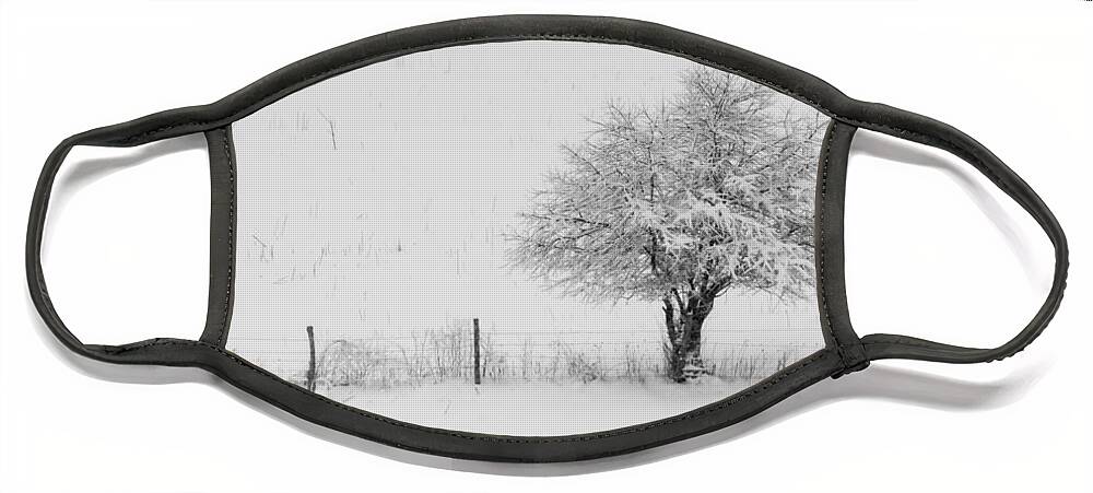 Fence Face Mask featuring the photograph Fence line in the Wintertime by Holden The Moment