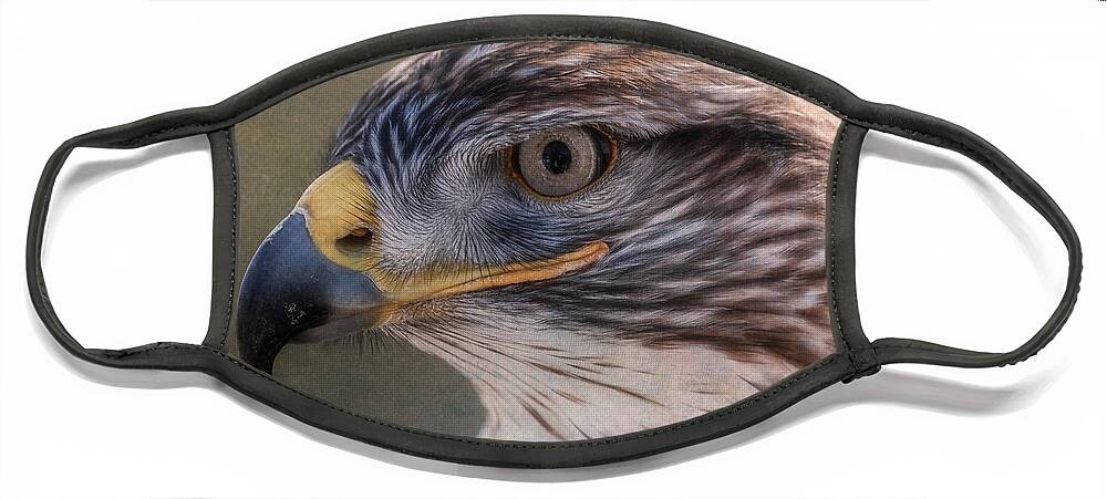 Al Andersen Face Mask featuring the photograph Ferruginous Hawk 2 Textured by Al Andersen