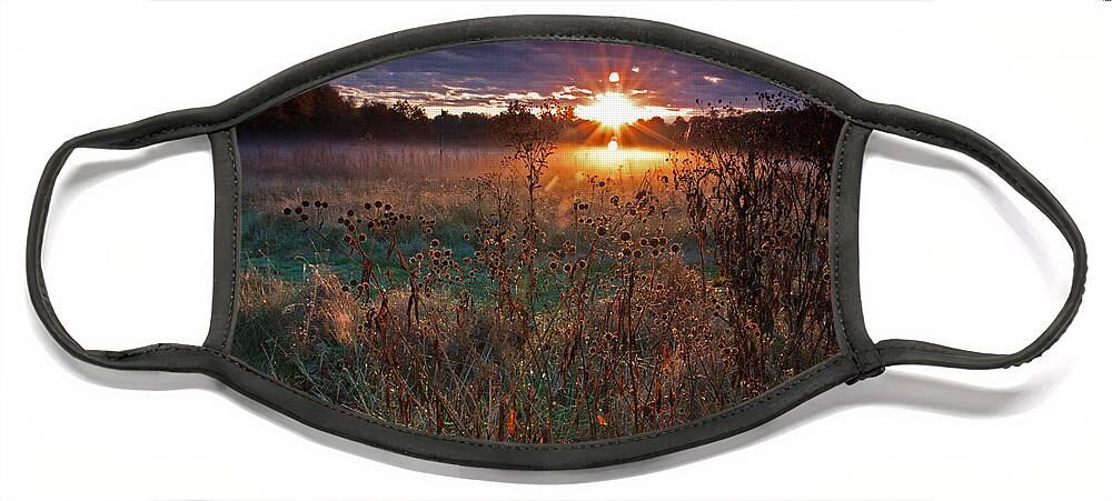 Sunrise Face Mask featuring the photograph Field of Dreams by Suzanne Stout
