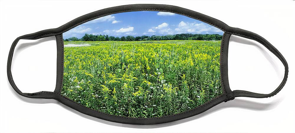 Clouds Face Mask featuring the photograph Field Of Flowers Sky Of Clouds by Jim Shackett