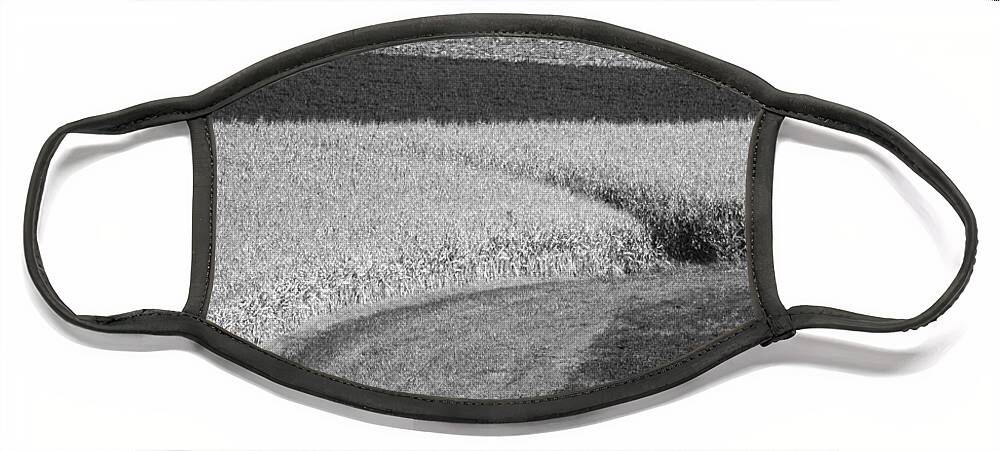 Fields Face Mask featuring the photograph Corn Fields near Madison, WI by Steven Ralser