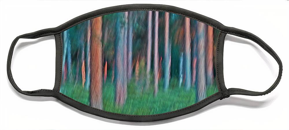 Nature Face Mask featuring the photograph Finland Forest by Heiko Koehrer-Wagner