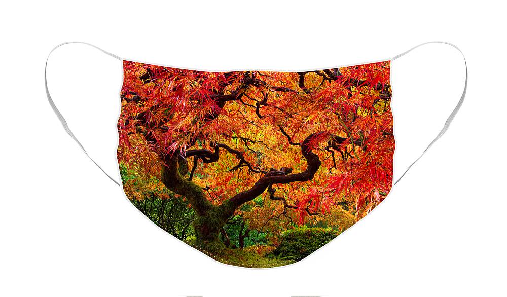 Portland Face Mask featuring the photograph Flaming Maple by Darren White