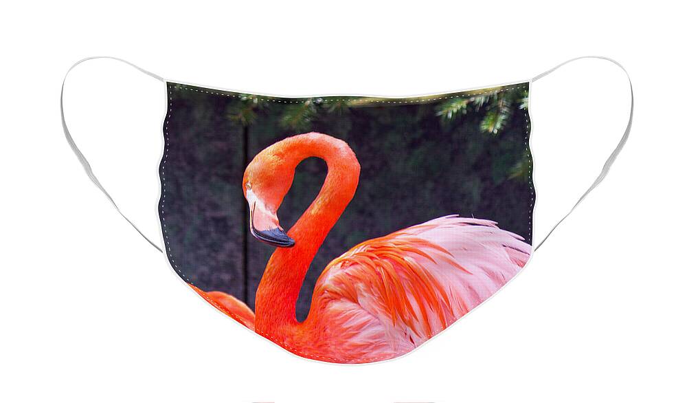 National Face Mask featuring the photograph Flamingo in the Wild by Jonny D